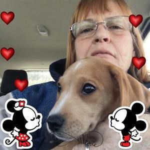 Meet your Posher, Trina